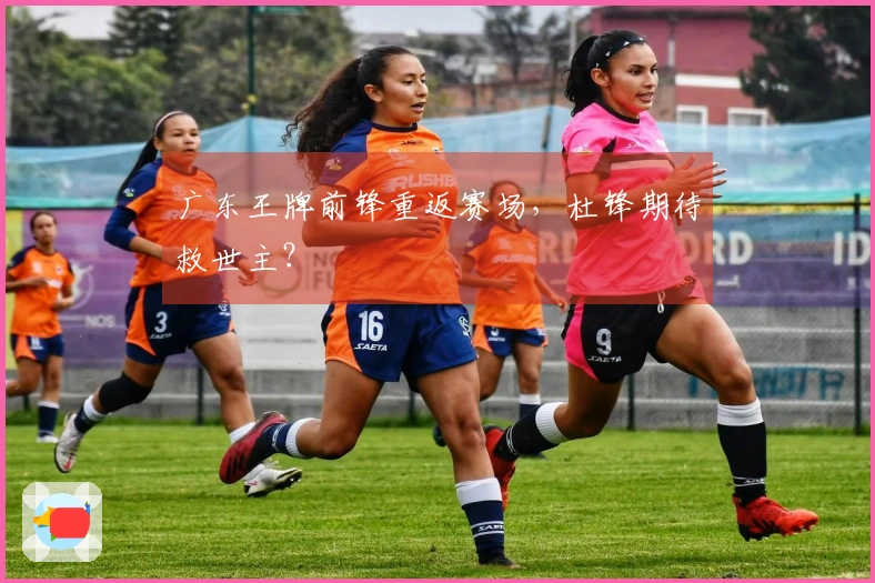 广东王牌前锋重返赛场，杜锋期待救世主？